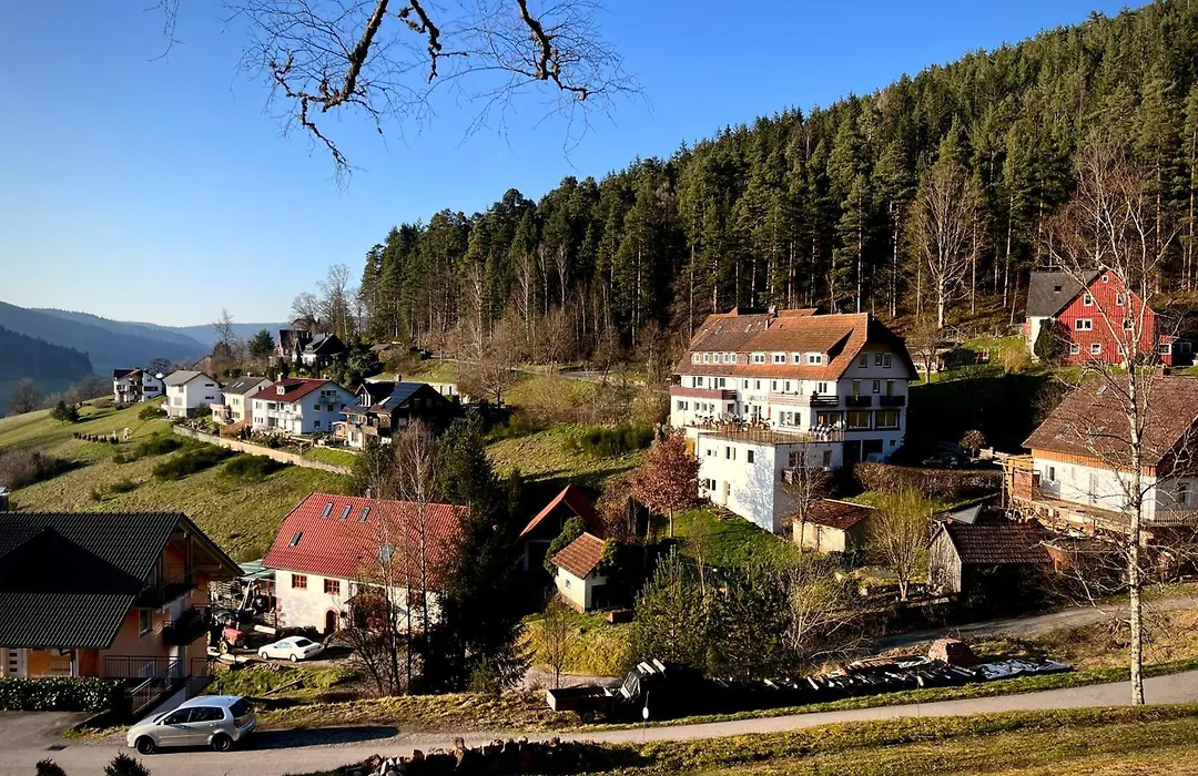 Gaestehaus Talblick - Schwarzwald Plus Karte Inkludiert-1