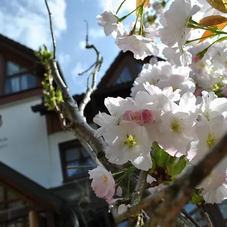 B&B Apart Hotel Goldener Hahn - Pool & Sauna, Fruehstueck-2