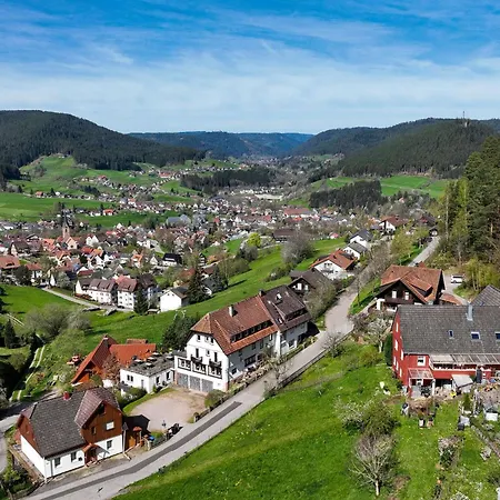 Gaestehaus Talblick - Schwarzwald Plus Karte Inkludiert-3